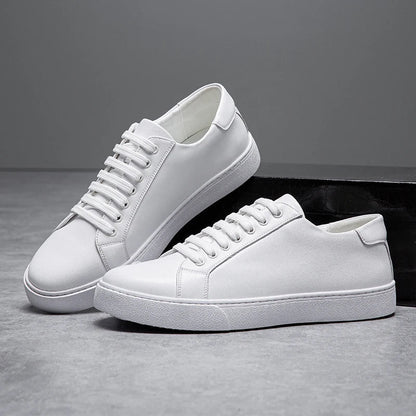 Dalton Premium Sneakers - Stylish Comfort for Smart-Casual Wear